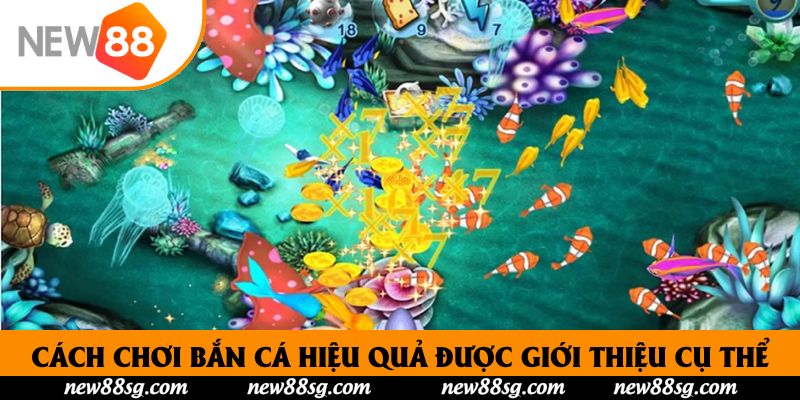 Cách chơi bắn cá hiệu quả được giới thiệu cụ thể