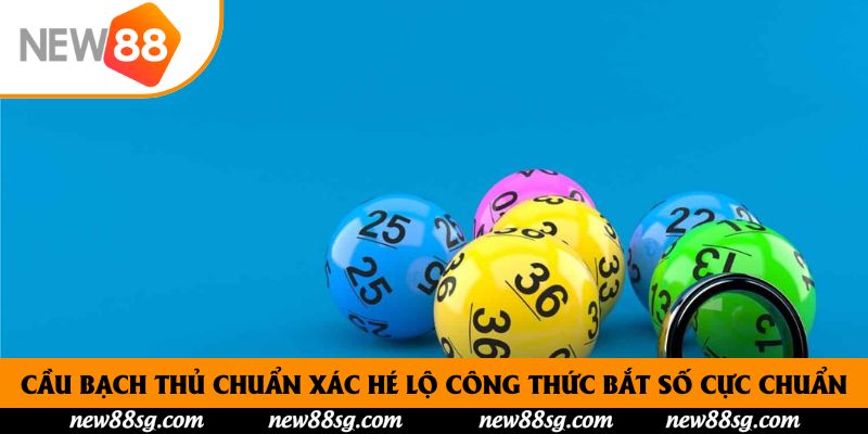 Cầu Bạch Thủ Chuẩn Xác Hé Lộ Công Thức Bắt Số Cực Chuẩn