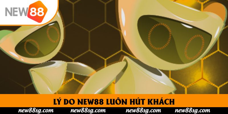 Lý do New88 luôn hút khách