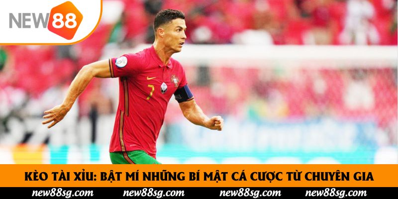 Kèo Tài Xỉu: Bật Mí Những Bí Mật Cá Cược Từ Chuyên Gia