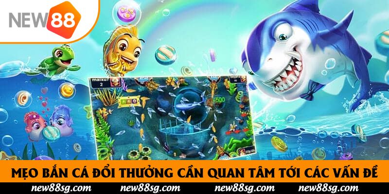 Mẹo bắn cá đổi thưởng cần quan tâm tới các vấn đề