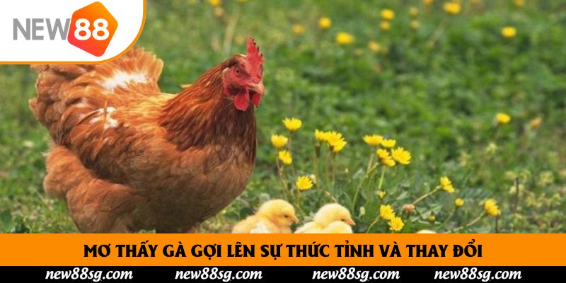 Mơ thấy gà gợi lên sự thức tỉnh và thay đổi