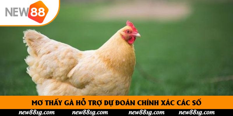 Mơ thấy gà hỗ trợ dự đoán chính xác các số
