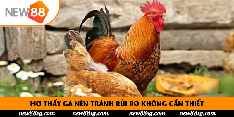 Mơ thấy gà nên tránh rủi ro không cần thiết