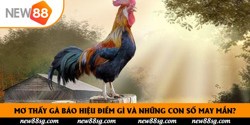 Mơ Thấy Gà Báo Hiệu Điềm Gì Và Những Con Số May Mắn