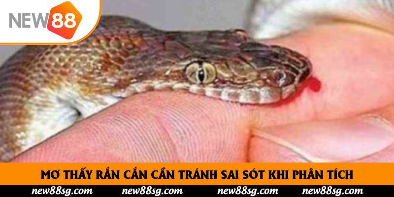 Mơ thấy rắn cắn cần tránh sai sót khi phân tích