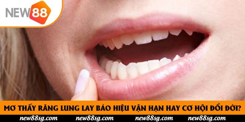 Mơ Thấy Răng Lung Lay Báo Hiệu Vận Hạn Hay Cơ Hội Đổi Đời?