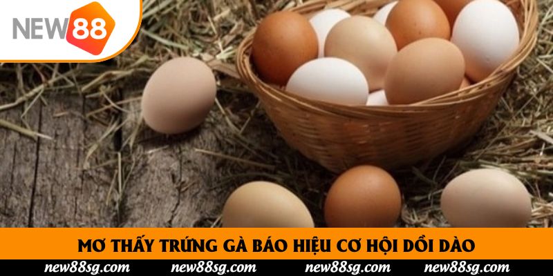 Mơ thấy trứng gà báo hiệu cơ hội dồi dào