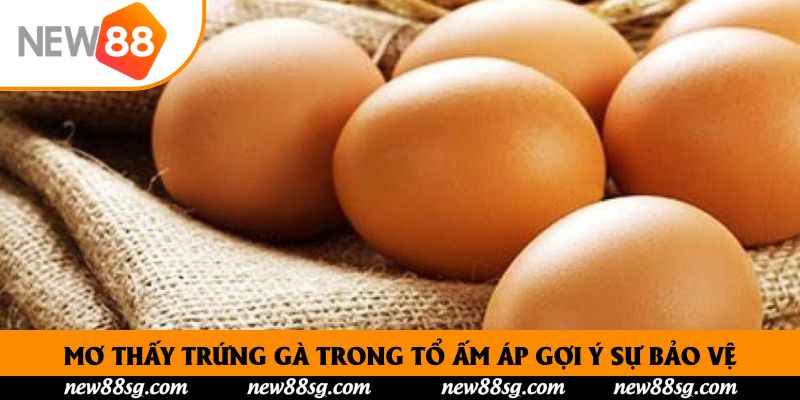 Mơ thấy trứng gà trong tổ ấm áp gợi ý sự bảo vệ