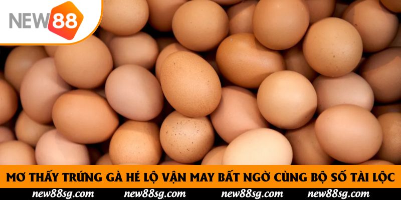 Mơ Thấy Trứng Gà Hé Lộ Vận May Bất Ngờ Cùng Bộ Số Tài Lộc