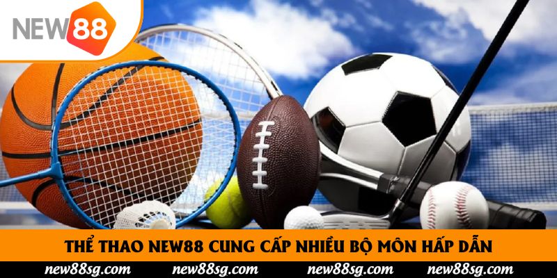 Thể thao New88 đưa ra những lưu ý quan trọng